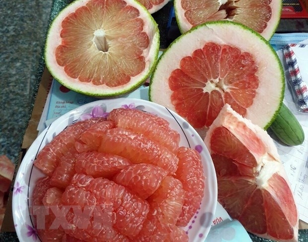 Ninh Thuan pomelo gets green light to enter US market